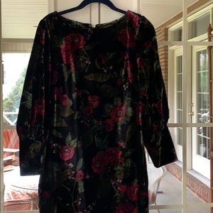 Ann Taylor Velvet shift dress